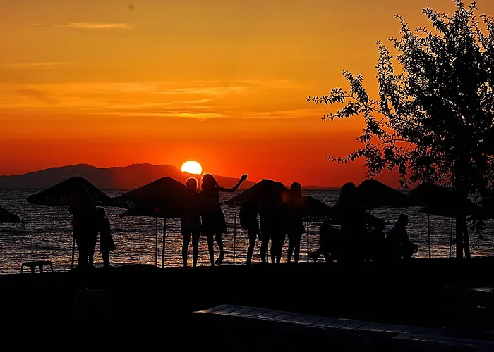 Dikelya * דיקילי